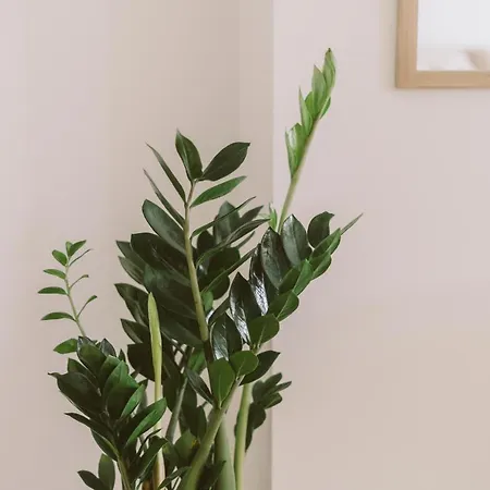 55 - Surfers Paradise Apartment Ferrel (Leiria)